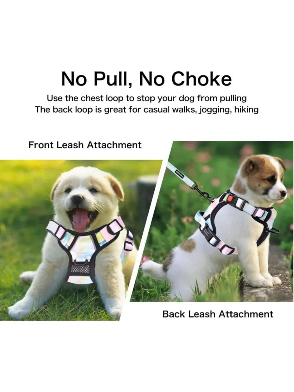 Iridescent No Pull Dog Harness with Leash & Poop Bag Holder - Small Size